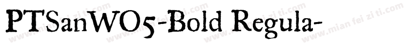 PTSanWO5-Bold Regula字体转换